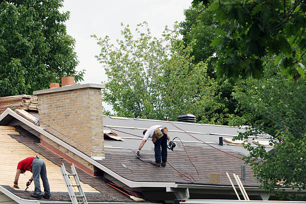 Roof Gutter Cleaning in Ocala, FL